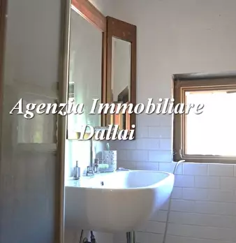 Foto annuncio 28