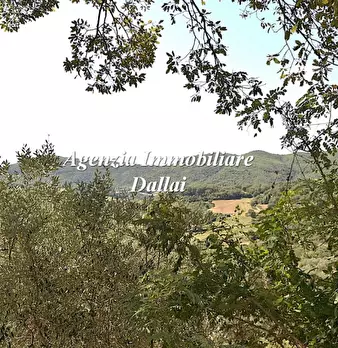 Foto annuncio 25