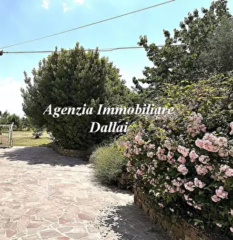 Foto annuncio 34