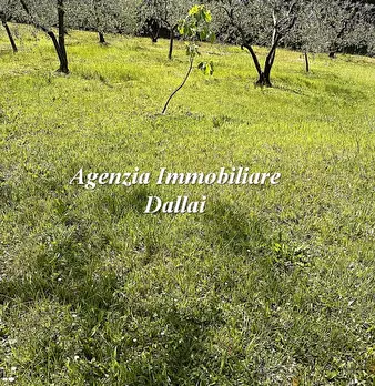 Foto annuncio 10