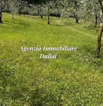 Foto annuncio 40