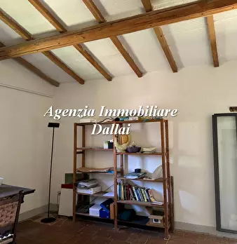 Foto annuncio 26