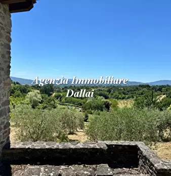 Foto annuncio 35