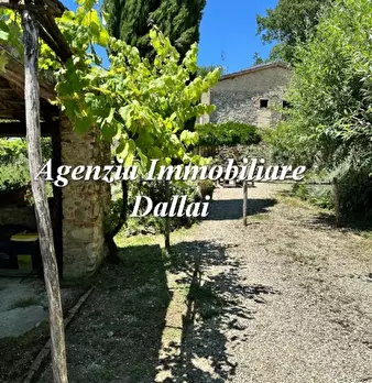 Foto annuncio 37