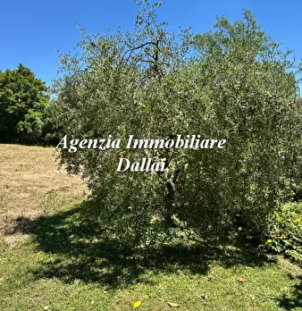 Foto annuncio 39