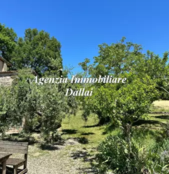 Foto annuncio 5