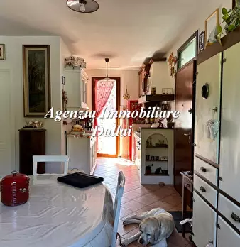 Foto annuncio 38
