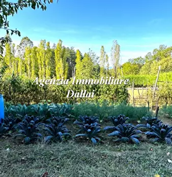 Foto annuncio 5