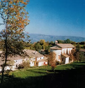 Foto annuncio 6