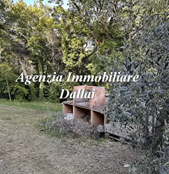 Foto annuncio 6