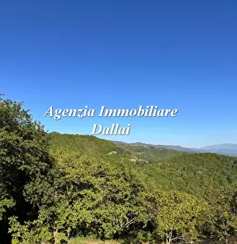 Foto annuncio 31