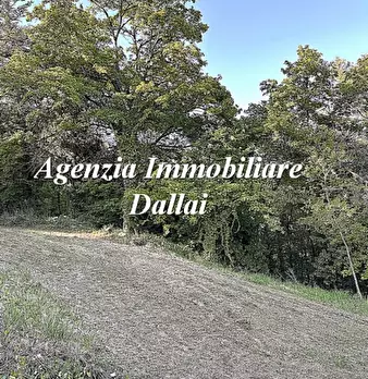 Foto annuncio 34