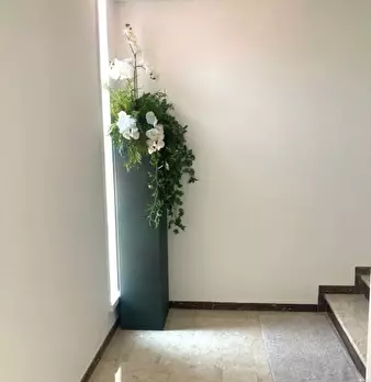 Foto annuncio 25