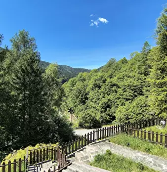 Foto annuncio 26