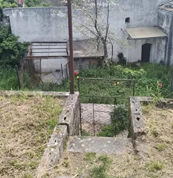 Foto annuncio 11