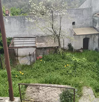 Foto annuncio 12