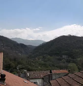 Foto annuncio 31