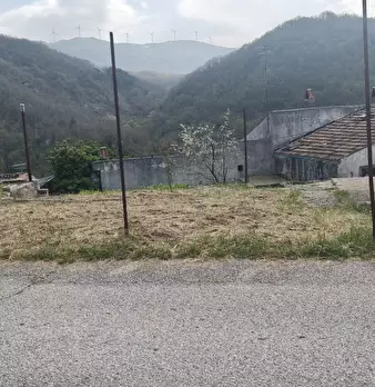 Foto annuncio 9