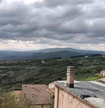 Foto annuncio 24