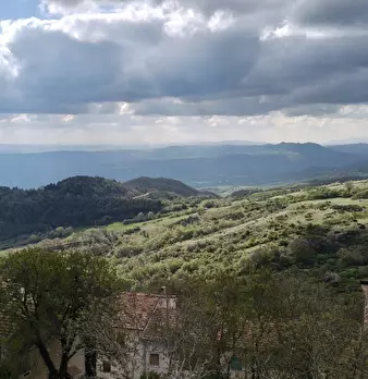 Foto annuncio 29