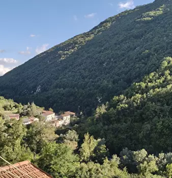 Foto annuncio 13
