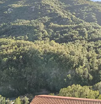 Foto annuncio 14