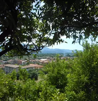 Foto annuncio 16
