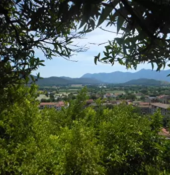 Foto annuncio 21