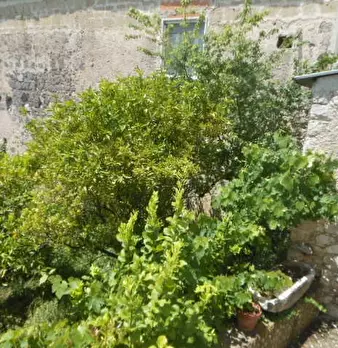 Foto annuncio 29