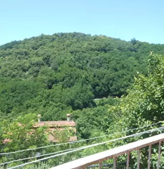Foto annuncio 13