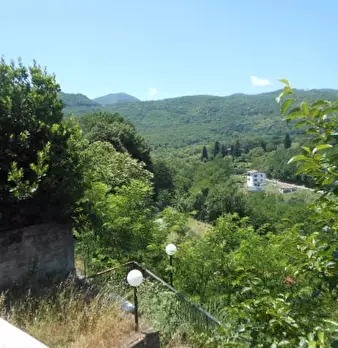 Foto annuncio 16