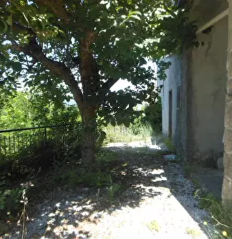 Foto annuncio 22