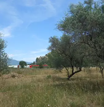 Foto annuncio 3