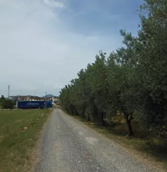 Foto annuncio 4