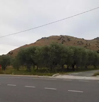 Foto annuncio 5