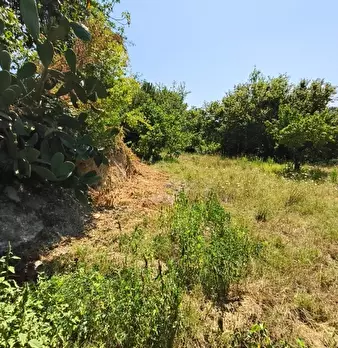 Foto annuncio 3