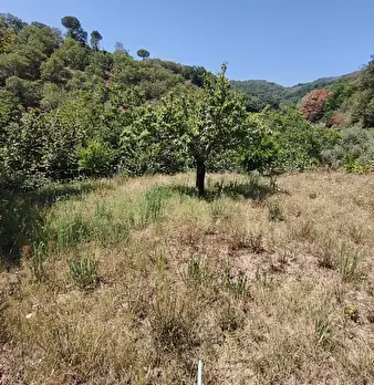 Foto annuncio 8