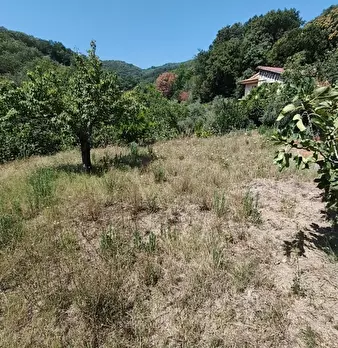 Foto annuncio 10