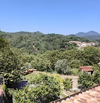 Foto annuncio 7