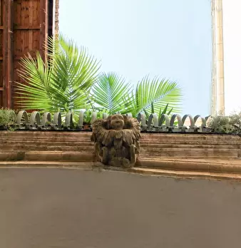 Foto annuncio 8