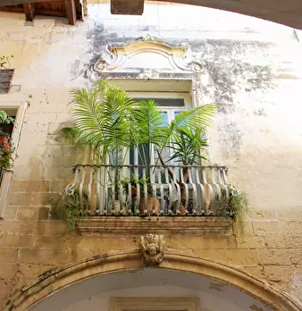 Foto annuncio 10