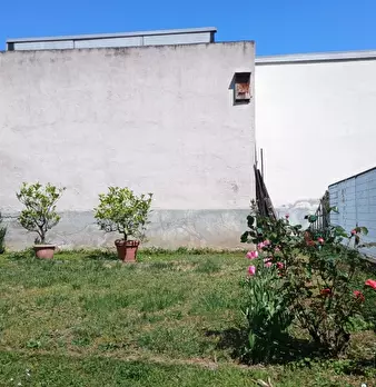Foto annuncio 10