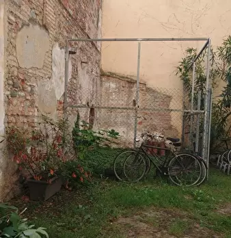 Foto annuncio 15
