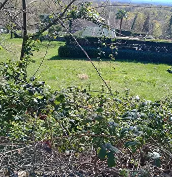 Foto annuncio 4
