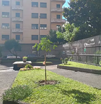 Foto annuncio 16