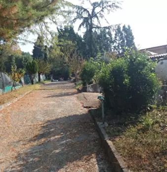 Foto annuncio 4