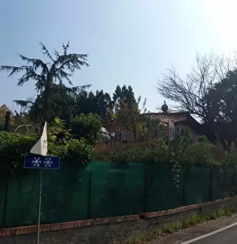 Foto annuncio 6