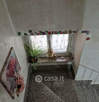 Foto annuncio 21
