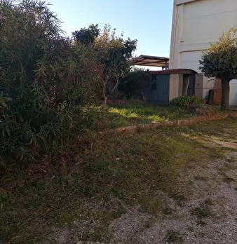 Foto annuncio 8