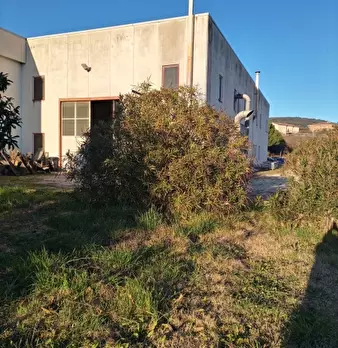 Foto annuncio 10